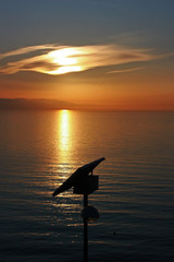 Solar powered city lamp isolated over sunset vertical