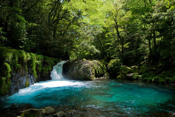 Naklejka premium 渓谷のエメラルドブルーの川面