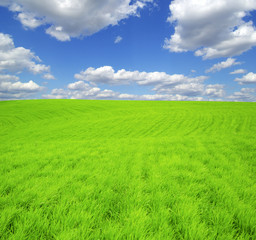 Obraz premium landscape