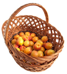 apricots in a basket