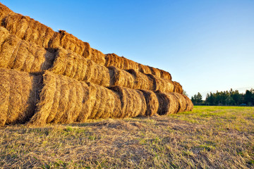 Bales of straw stacked under blue sky
