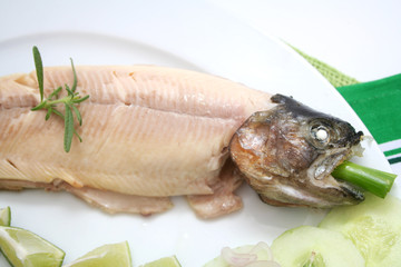 Forelle