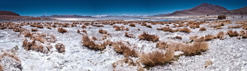 Panoramic view of the Bolivian Desert
