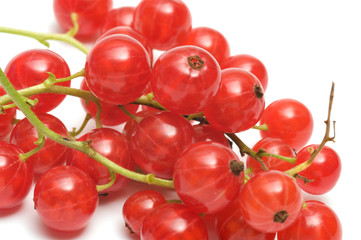 Red currant.