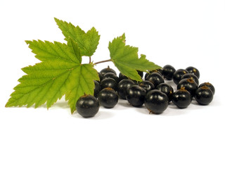 blackberry
