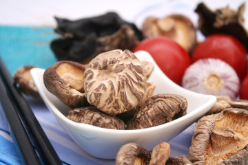 Shiitake Pilze
