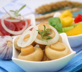 frische Champignons
