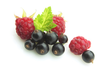 Raspberry and black currant