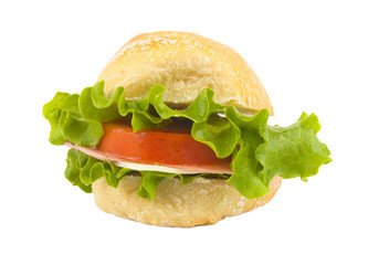 sandwich isolated on white background
