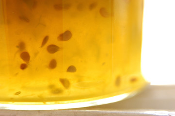 confiture de tomates vertes en pot 