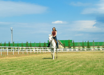 Obraz premium girl embraces a white horse