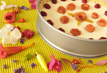 cheese cake on apple green background wit flowers