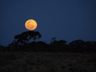 Mond im Outback Australiens
