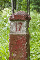 boundary stone in forest