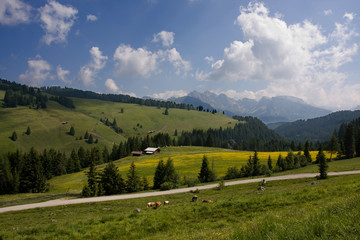 Panorama alpe di Siusi Dolomiti