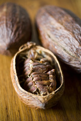 cabosses de cacao