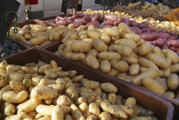 Étal de pommes de terre