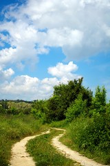 Summer landscape with road, green and cloudy sky