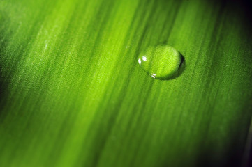 Wasser