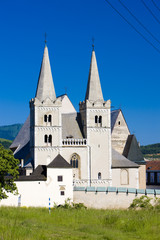 Fototapeta na wymiar Cathedral of St. Martin, Chapter Spisska, Slovakia