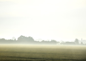landscape in the morning with fog