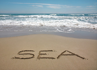 tropical sea