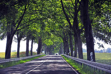 road