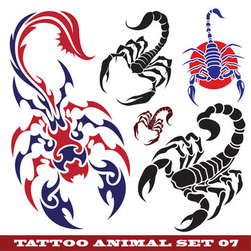 templates scorpion for tattoo and design on different topics