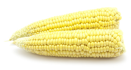 ripe corn