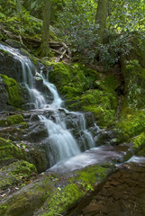 Fototapeta na wymiar Spring Buttermilk Falls