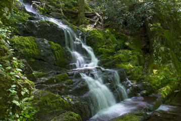 Flowing Buttermilk Falls