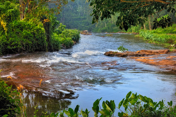 Tropical River