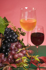 Red wine and grape close-up