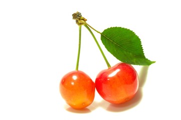 オレンジ色のさくらんぼ