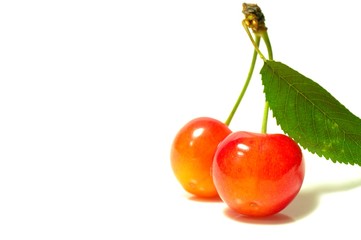 サクランボとコピースペース