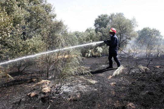 bombero