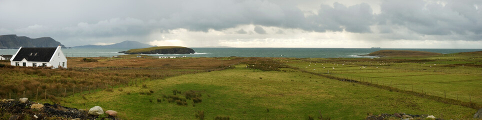 Fototapeta premium Irish village on the coast