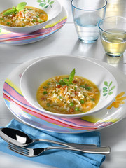 soupe froide de riz aux oignons de printemps