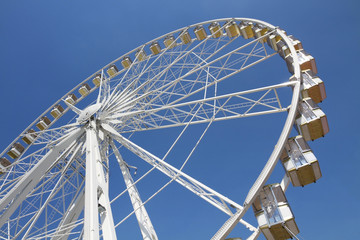 Ferris wheel in an amusement park