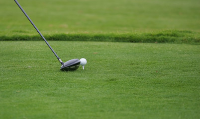 detail of golf course