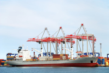 Fototapeta premium The trading seaport with cranes, cargoes and ship