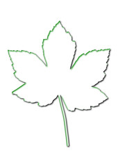 leaf