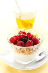yogurt ,muesli ,berries and honey
