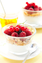 yogurt ,muesli ,berries and honey