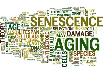 Aging and Senescence Concepts