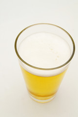 Pint of lager beer, on light background