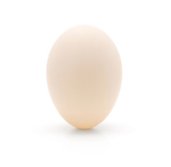 White duck egg