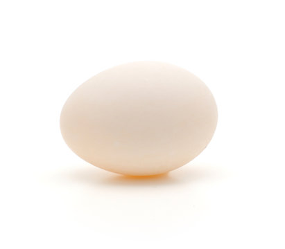 White duck egg