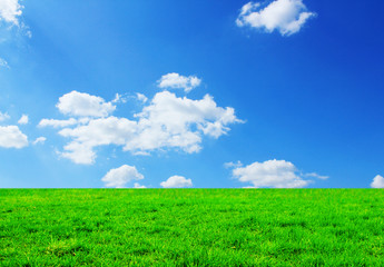 Obraz premium rasen_himmel