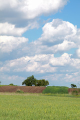 Obraz premium Rural area